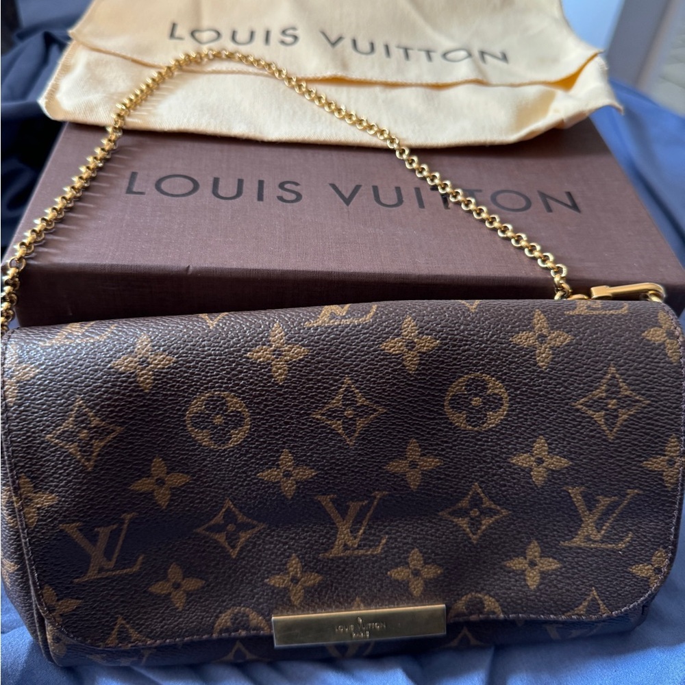 Louis vuitton purse
